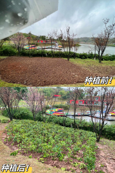 1678930215805535.png image.png