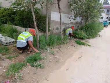 0033990����˹(�й�)���޹�˾ -Best Of Best