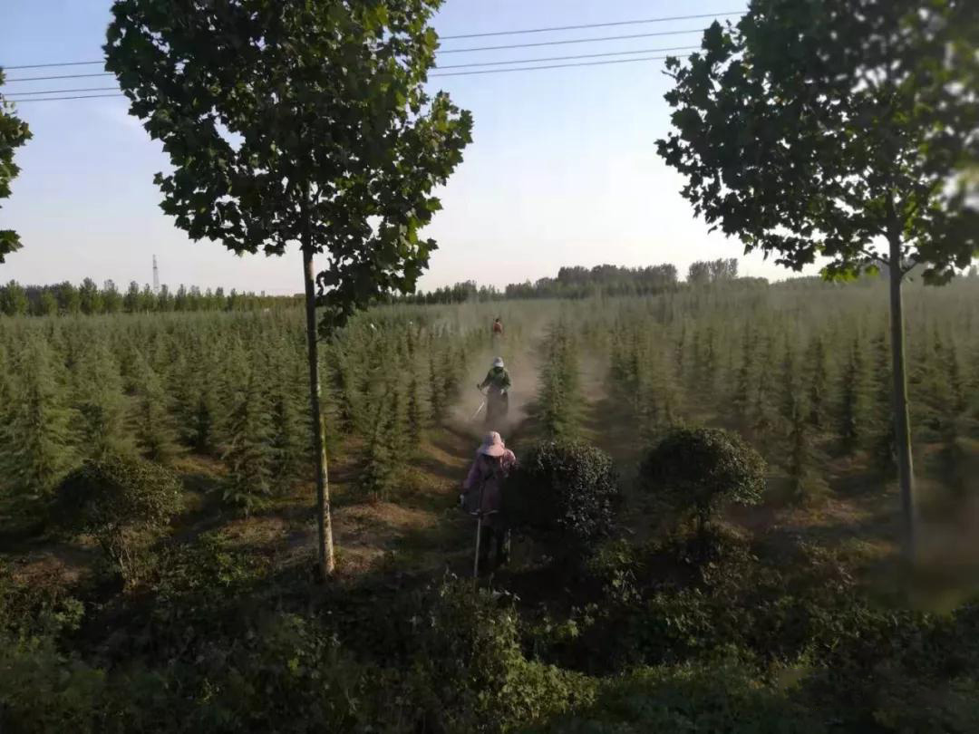 0033990����˹(�й�)���޹�˾ -Best Of Best